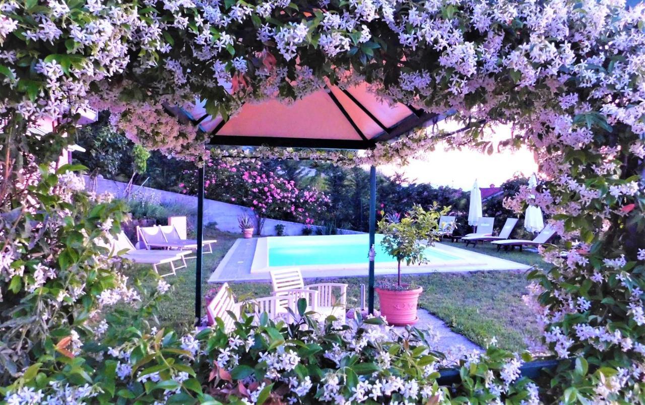 Domus Langhe Bed & Breakfast